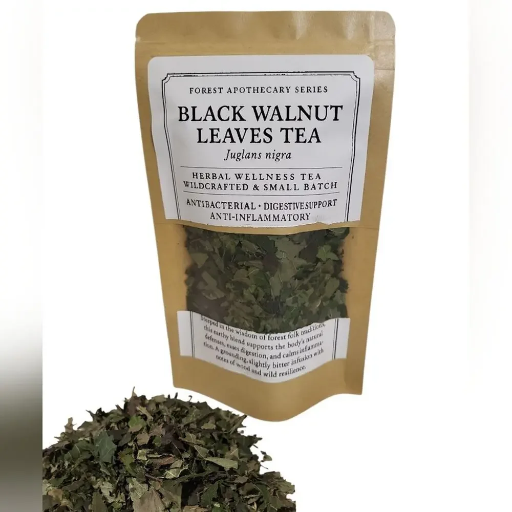 Black Walnut Leaves Herbal Tea | Natural Detox & Gut Health Support